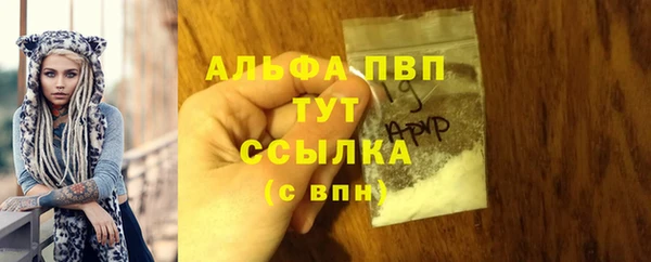 СК Аркадак